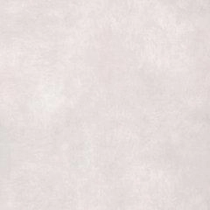 PORCELANATO 61X61 61034 EXTRA RETIFICADO